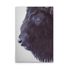 VAREVUNE - Canvas schilderij - Zwarte Buffel - wit/zwart