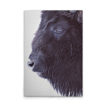 VAREVUNE - Canvas schilderij - Zwarte Buffel - wit/zwart