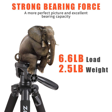 Professioneel Universeel Lichtgewicht DSLR Camerastatief - Voor de Sony / Canon / Nikon Camera – Tripod 140CM - Oranje