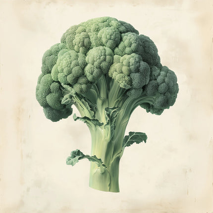 Broccoli canvas schilderij – afbeelding 6