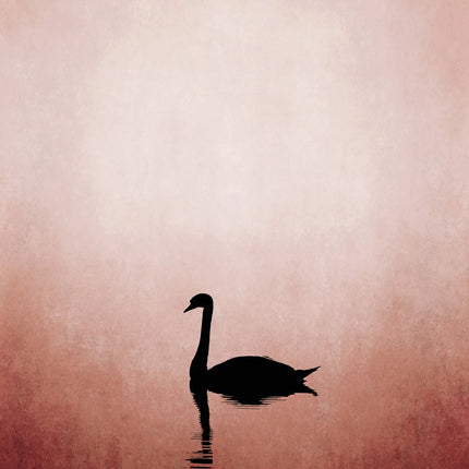 Swan Lake canvas schilderij – afbeelding 6