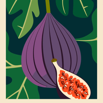 Sugar Fig canvas schilderij – afbeelding 5