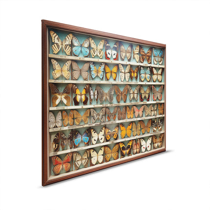 Butterfly Box canvas schilderij – afbeelding 5