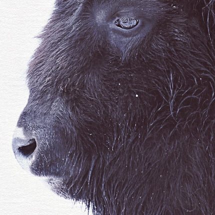 Zwarte Buffel canvas schilderij – afbeelding 5