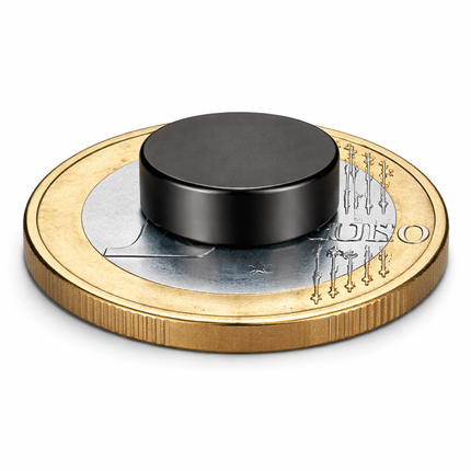 Brute Force - Platte Sterke Magneten - Rond - 10 x 5 mm - Koelkast magneten - 40 Stuks Zwart