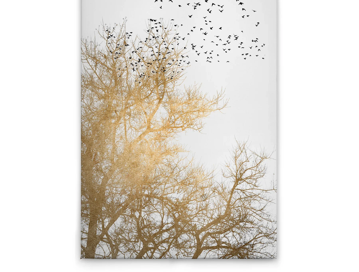 &nbsp;Canvas Schilderijen <em>&nbsp;</em>