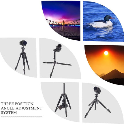 Q555 Professioneel Lichtgewicht DSLR Camerastatief - Universeel Fotostatief voor Fotografie – Aluminium Tripod Zwart 160CM image 4