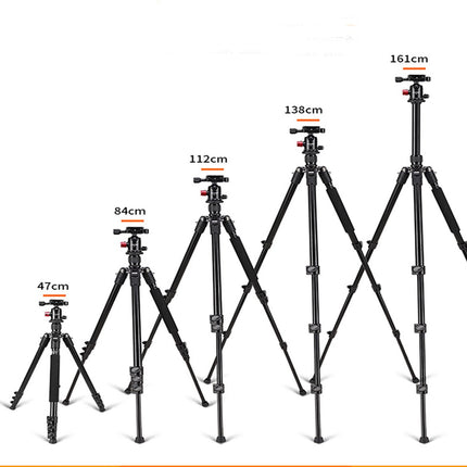 Professioneel Lichtgewicht DSLR Camerastatief - Universeel Fotostatief voor Fotografie – Aluminium Tripod Zwart 161CM image 11