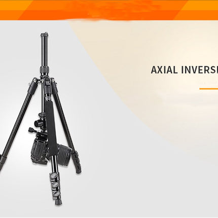 Professioneel Lichtgewicht DSLR Camerastatief - Universeel Fotostatief voor Fotografie – Aluminium Tripod Zwart 161CM image 16